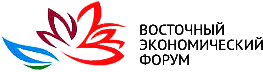 Участие в ВЭФ